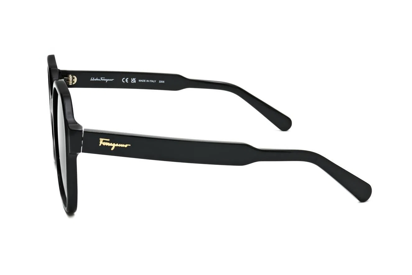 Ferragamo SF1069S Sunglasses - view 6
